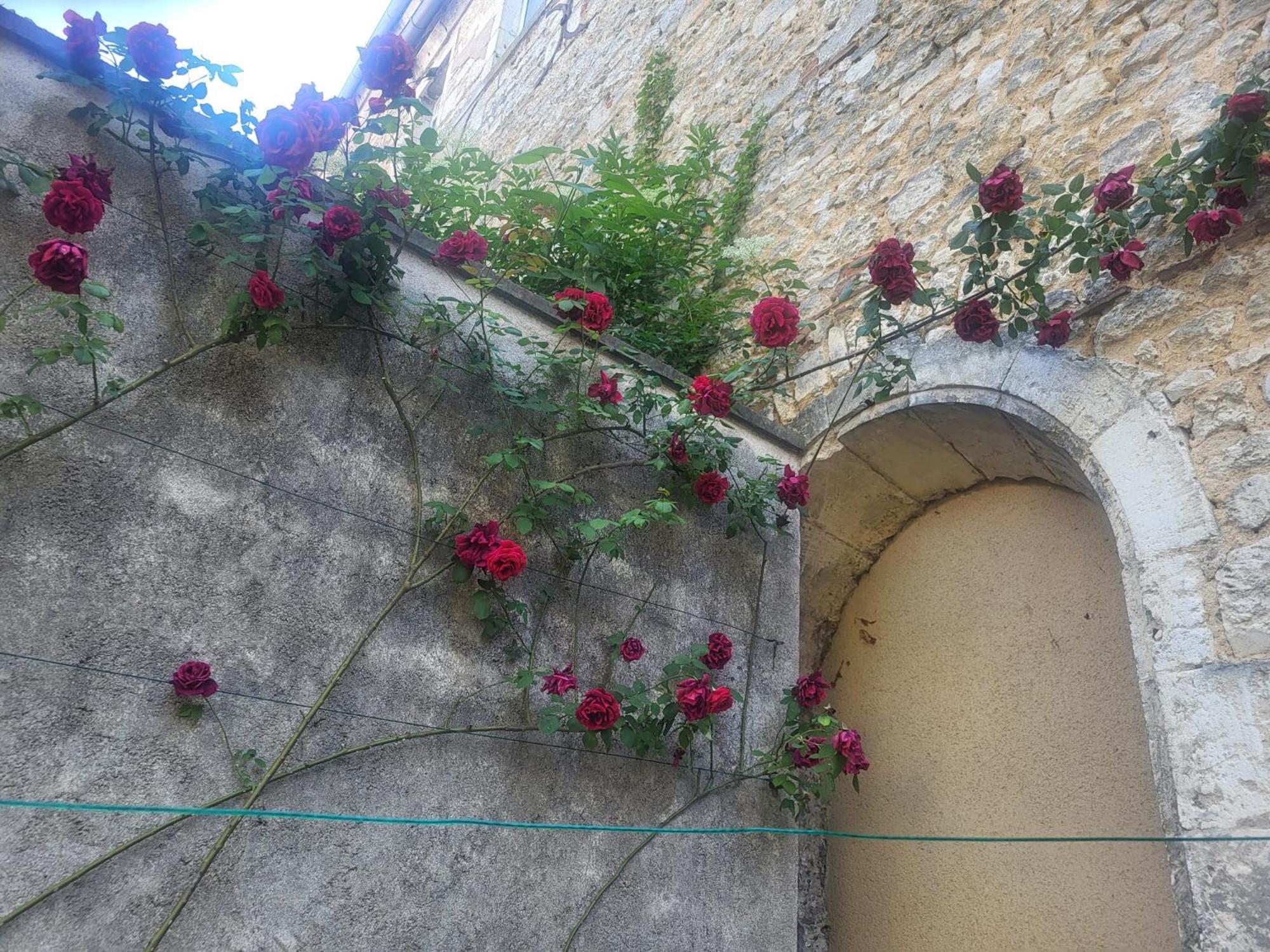 Au Puits De L'Abbaye Apartment Bourges Bagian luar foto